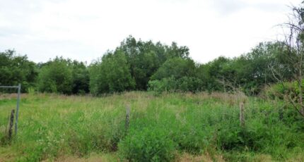 Chars Maison neuve - 2422727-11688annonce120260209xDLOS.jpeg Maisons Balency