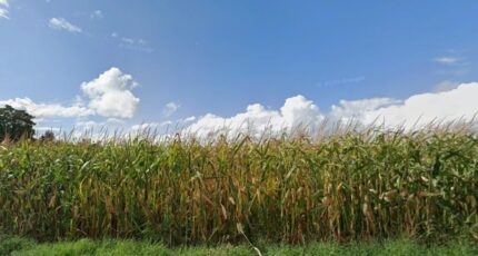 Arpajon Maison neuve - 2426050-4684annonce120260211AZqvt.jpeg Maisons Balency