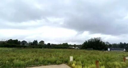 Champmotteux Terrain à bâtir - 2433625-4684annonce120260218Usa7T.jpeg Maisons Balency