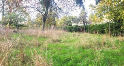 Saint-Leu-la-Forêt Maison neuve - 2434244-11688annonce12026021941iQH.jpeg Maisons Balency