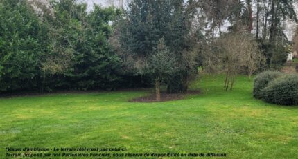 Vigneux-sur-Seine Terrain à bâtir - 2435555-4684annonce1202602201LlEs.jpeg Maisons Balency