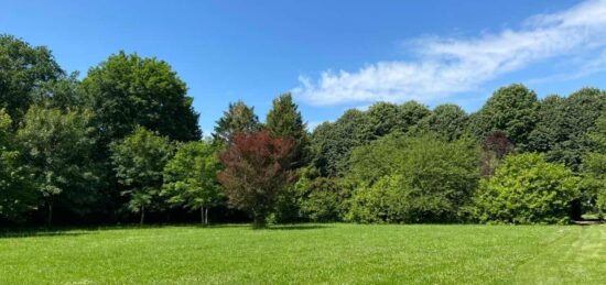 Terrain à bâtir à , Essonne