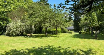 Mennecy Terrain à bâtir - 2436820-4684annonce220260221RLILW.jpeg Maisons Balency