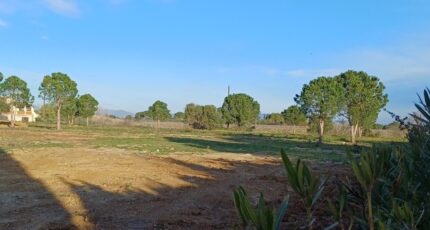 Perpignan Maison neuve - 2437378-4671annonce120260223oBVDW.jpeg Maisons Balency