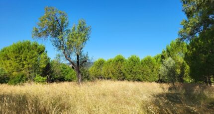 Alès Maison neuve - 2438523-4620annonce12026022368983.jpeg Maisons Balency