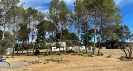 Saint-Clément-de-Rivière Terrain à bâtir - 2438981-10245annonce120260224sosQA.jpeg Maisons Balency