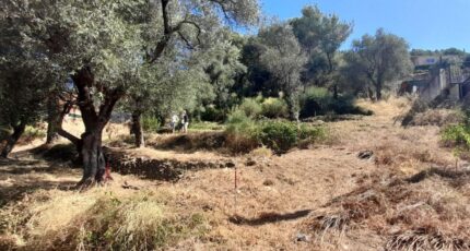 Saint-Martin-du-Var Maison neuve - 2439836-3059annonce120260224Evm9D.jpeg Maisons Balency