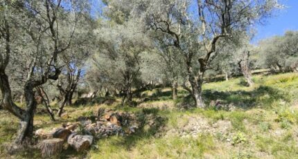 Saint-Martin-du-Var Maison neuve - 2439844-3059annonce120240711d4LTp.jpeg Maisons Balency