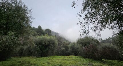 Berre-les-Alpes Terrain à bâtir - 2403348-10633annonce220250605Z3FVN.jpeg Maisons Balency