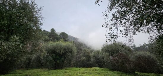 Terrain à bâtir à , Alpes-Maritimes