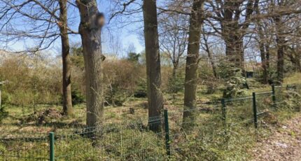 Saint-Germain-lès-Arpajon Maison neuve - 2440815-4684annonce1202602258XtzT.jpeg Maisons Balency