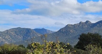 Villelongue-dels-Monts Maison neuve - 2441592-4671annonce120260226fphha.jpeg Maisons Balency