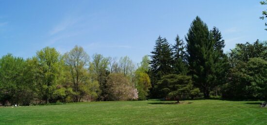Terrain à bâtir à Grisy-Suisnes, Île-de-France
