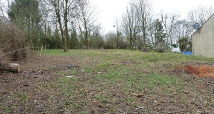 Dammartin-en-Goële Maison neuve - 2444274-10143annonce220260228elKEO.jpeg Maisons Balency