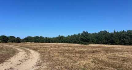 Thuir Maison neuve - 2349117-4671annonce120251126VxFU8.jpeg Maisons Balency