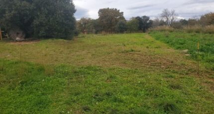 Le Bosc Maison neuve - 2366543-11507annonce120251212QEIlw.jpeg Maisons Balency