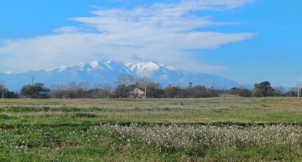 Villeneuve-de-la-Raho Maison neuve - 2381906-4671annonce120260105Azv5s.jpeg Maisons Balency