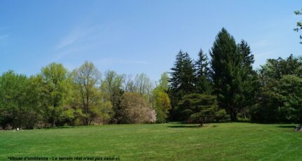 Barbizon Terrain à bâtir - 2367773-4684annonce520251213iSyNB.jpeg Maisons Balency