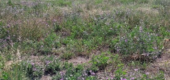 Terrain à bâtir à Cabestany, Occitanie