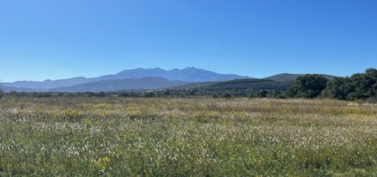 Terrain à bâtir à Llupia, Occitanie