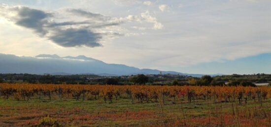 Terrain à bâtir à Brouilla, Occitanie