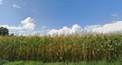 Avrainville Terrain à bâtir - 2420022-annonceTerrain-20260216161355.JPEG Maisons Balency