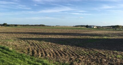 Monnerville Terrain à bâtir - 2419578-10545annonce12025101368chH.jpeg Maisons Balency