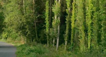 Ormoy-la-Rivière Terrain à bâtir - 2426030-4684annonce120260211xh1xB.jpeg Maisons Balency