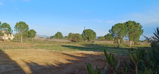 Terrain à bâtir à Perpignan, Occitanie