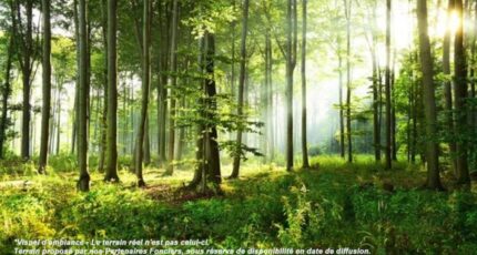 Nemours Terrain à bâtir - 2444079-4684annonce120260228bFSk3.jpeg Maisons Balency