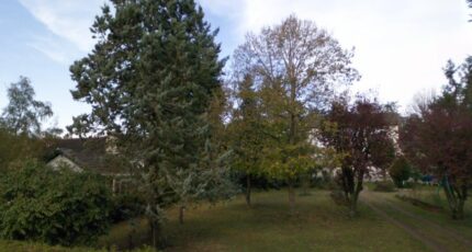 Boissise-la-Bertrand Maison neuve - 2444106-4684annonce220250912IZBJc.jpeg Maisons Balency