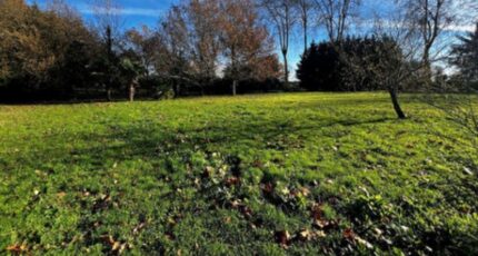 Rueil-Malmaison Maison neuve - 2444823-11374annonce120260302HMHKW.jpeg Maisons Balency