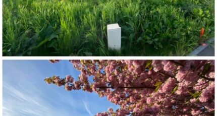 Heudreville-sur-Eure Maison neuve - 2412441-11733annonce120260129wk0cf.jpeg Maisons Balency