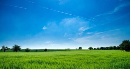 La Queue-les-Yvelines Terrain à bâtir - 2448156-10436annonce120260305KGolT.jpeg Maisons Balency