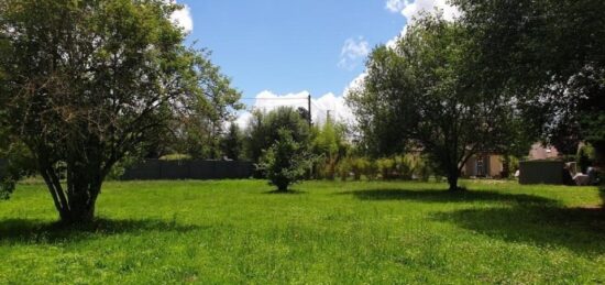 Terrain à bâtir à Le Vaudoué, Île-de-France