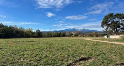 Thuir Terrain à bâtir - 2449275-4671annonce120260306TTSiT.jpeg Maisons Balency