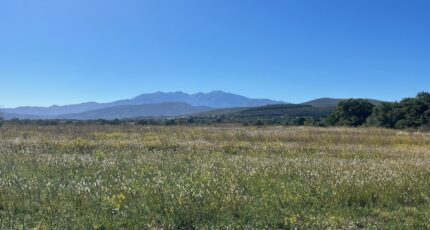 Llupia Maison neuve - 2449191-4671annonce120260306zHwWT.jpeg Maisons Balency