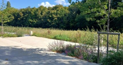 Honfleur Terrain à bâtir - 2383739-11563annonce22025091006Qzl.jpeg Maisons Balency