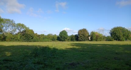 Saint-Hymer Maison neuve - 2383615-11563annonce320250905lZWE8.jpeg Maisons Balency