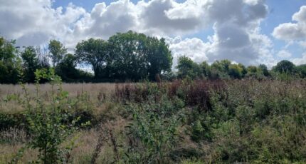 Genneville Maison neuve - 2383632-11563annonce220250905y9mZk.jpeg Maisons Balency