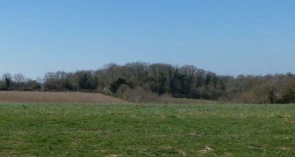 Manerbe Maison neuve - 2421173-11563annonce220251013lASrN.jpeg Maisons Balency