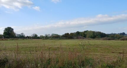 Manerbe Maison neuve - 2421190-11563annonce120251016M01I4.jpeg Maisons Balency