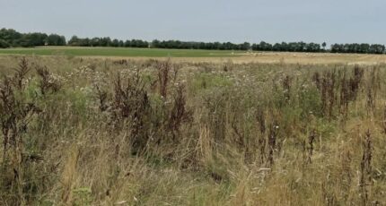 Lasson Maison neuve - 2421199-11563annonce120251016rcef8.jpeg Maisons Balency