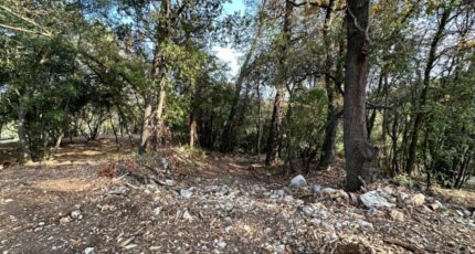 Roquefort-les-Pins Maison neuve - 2386011-10633annonce1202309141owbi.jpeg Maisons Balency