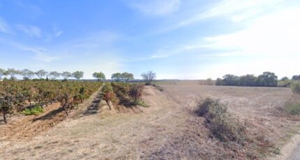 Alignan-du-Vent Terrain à bâtir - 2453595-11018annonce1202603110VWrV.jpeg Maisons Balency