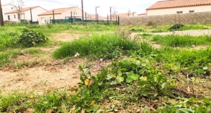 Pouzolles Maison neuve - 2453537-11018annonce420260311c0M25.jpeg Maisons Balency