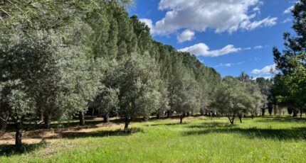 Lézignan-la-Cèbe Maison neuve - 2453718-11018annonce420260311GBCrP.jpeg Maisons Balency