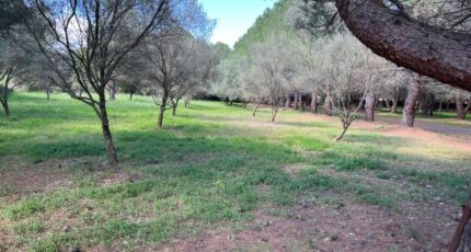 Lézignan-la-Cèbe Maison neuve - 2453734-11018annonce120260311yh8q2.jpeg Maisons Balency