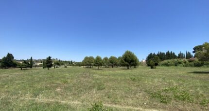 Saint-Pargoire Maison neuve - 2453783-11018annonce220260311CNk6b.jpeg Maisons Balency