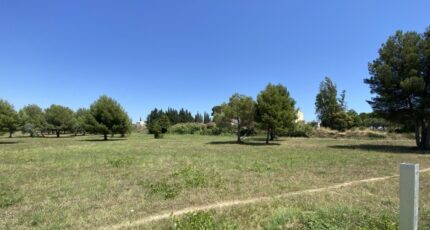 Saint-Pargoire Maison neuve - 2453783-11018annonce320260311dQOfw.jpeg Maisons Balency